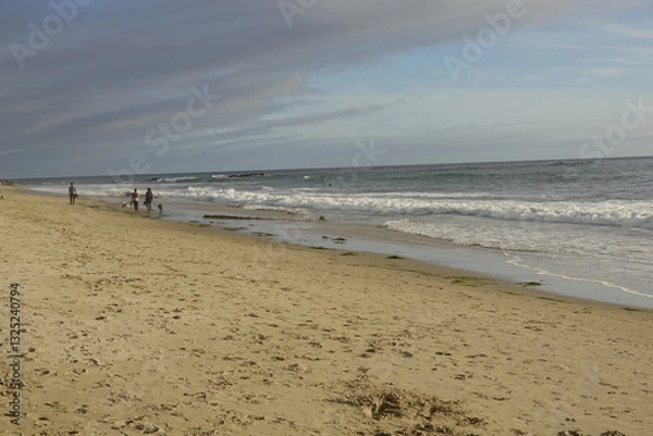 Obraz Laguna Beach, CA - Gorgeous Beach Views
