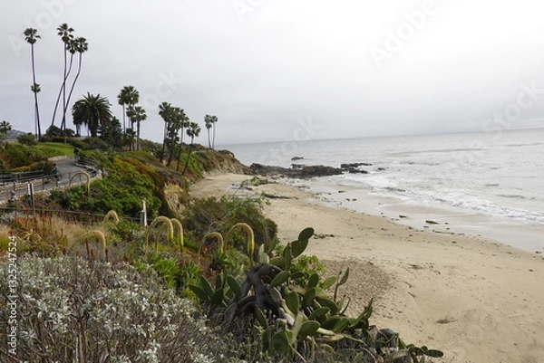 Obraz Laguna Beach, CA - Gorgeous Beach Views