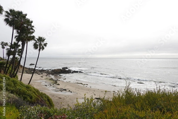 Obraz Laguna Beach, CA - Gorgeous Beach Views