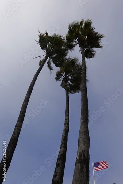 Obraz Laguna Beach, CA - Gorgeous Beach Views
