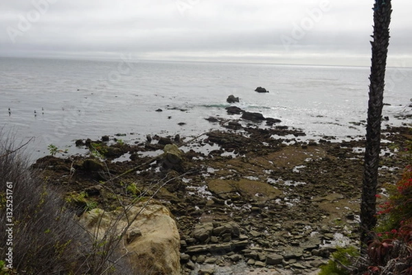 Obraz Laguna Beach, CA - Gorgeous Beach Views
