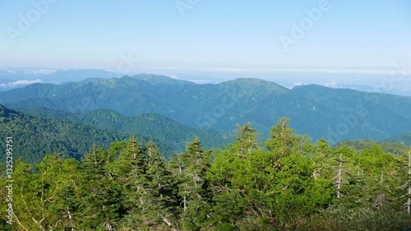 Obraz 白山砂防新道からの眺め