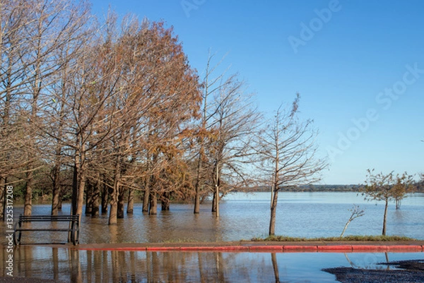 Obraz Creciente del río Uruguay