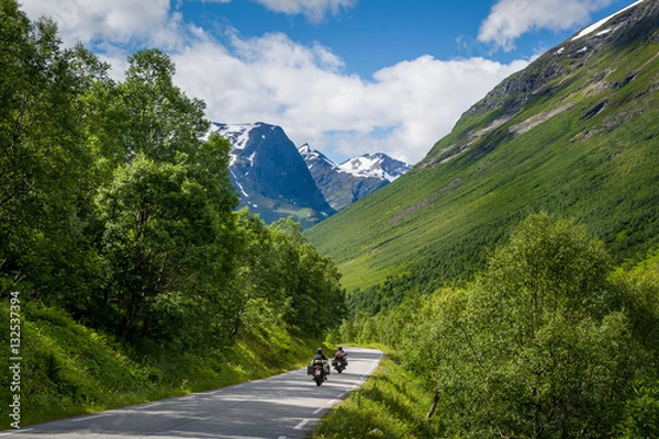 Obraz Road to the mountains