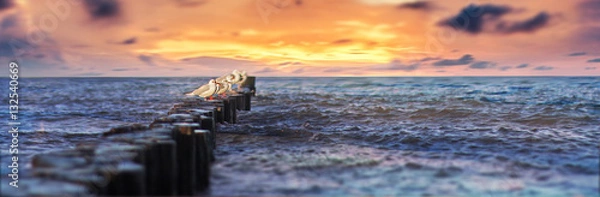 Fototapeta Wellenbrecher mit Möwen