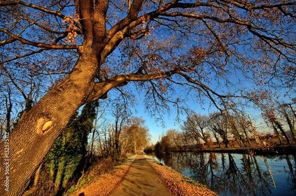 Obraz Gelées en région toulousaine