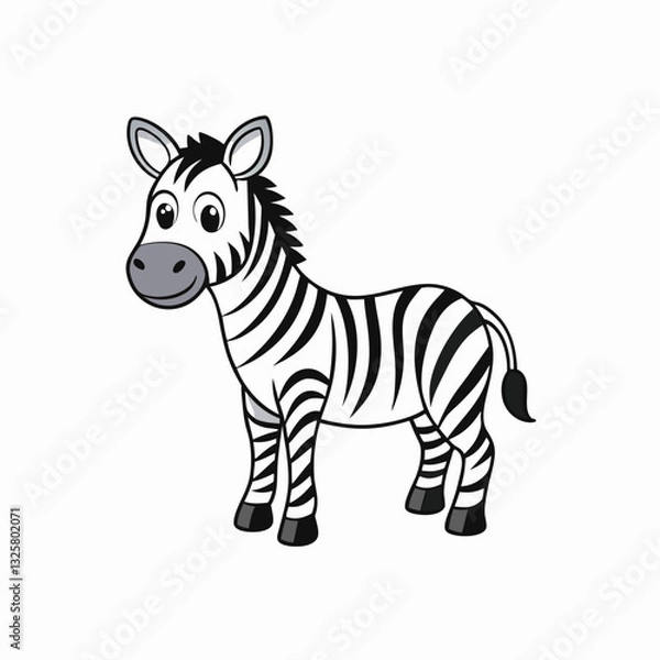Obraz zebra vector illustration