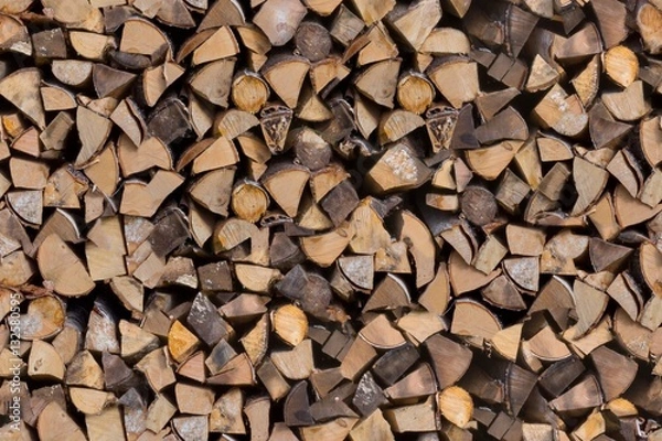 Obraz Cut tree ends stacked