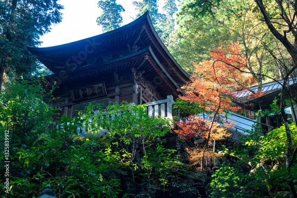 Fototapeta Mountain Shrine Surrounded by Trees