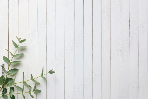 Obraz Green leaf branches flat lay on white wood background, top view with copy space.