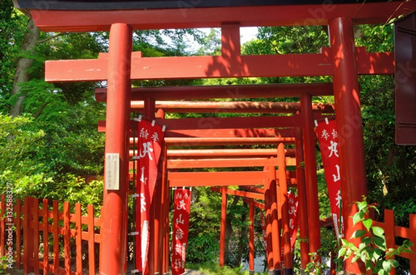 Fototapeta 鶴岡八幡宮にある丸山稲荷の鳥居