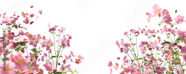 Obraz Foreground pink flowers beautify garden isolate on transparent backgrounds 3d illustrations png
