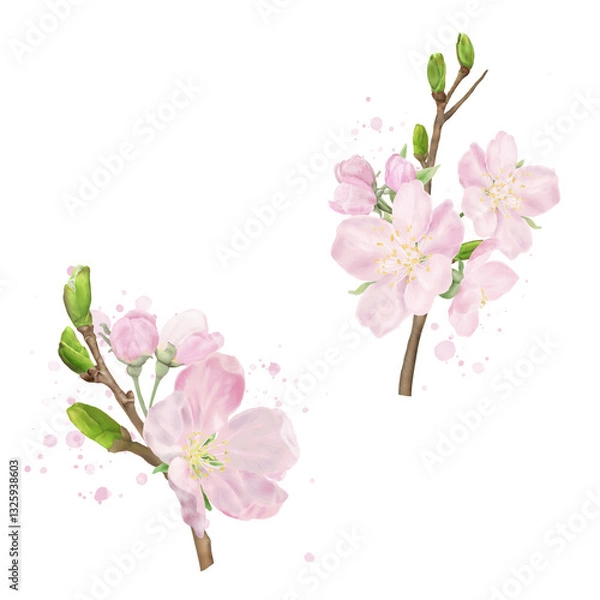 Fototapeta Delicate peach flowers on spring apple and cherry tree branches with green leaves. Watercolor digital illustration. Pink buds, blooming Japanese tree isolated on white background. Spring, Easter theme
