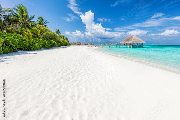 Obraz Szeroka piaszczysta plaża na tropikalnej wyspie na Malediwach. Palmy i wat