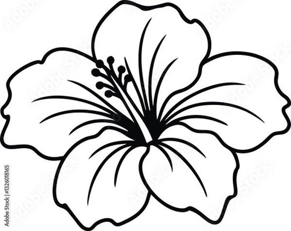 Obraz hibiscus flower  line art, hibiscus flower line art vector illustration
