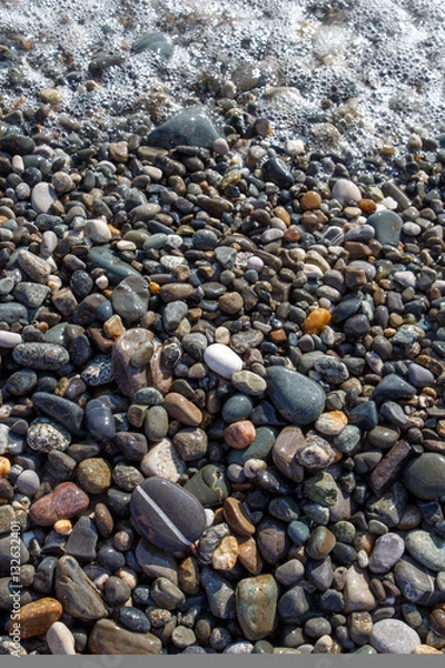 Fototapeta Pionowe mokre jasne lśniące różnokolorowe kamyki i morska pianka