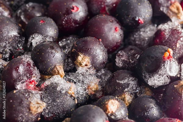Obraz frozen black currant close-up