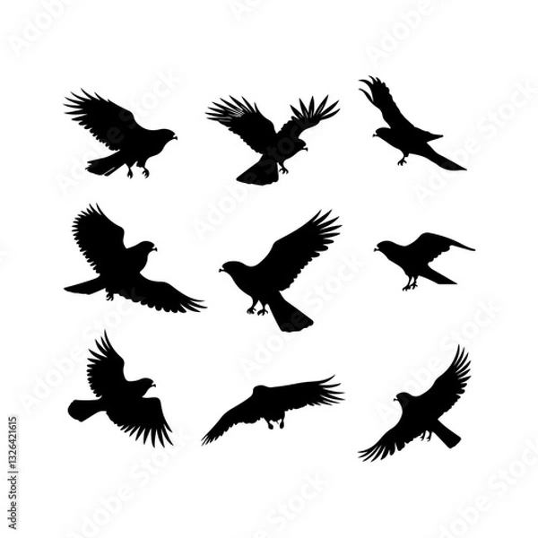 Fototapeta Falcon silhouette on white vector set items