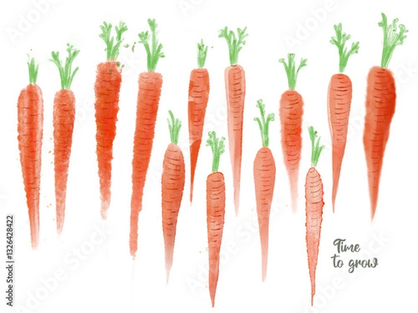 Fototapeta Various carrots in watercolor technique. Ready for cards, posters, prints and other usage