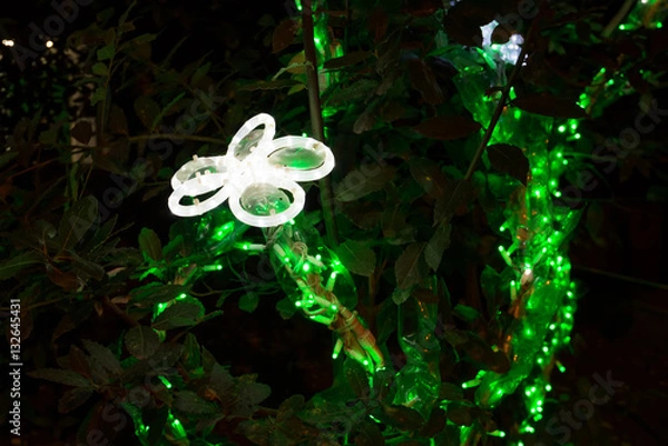 Obraz Luminarie- fiore