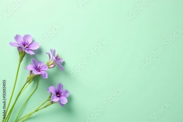 Fototapeta Lovely Lilac Flowers Arranged on a Mint Green Background, Perfect for Spring or Summer Designs