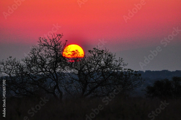 Obraz Bushveld Sunset