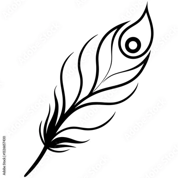 Obraz feather vector illustration