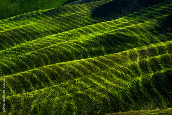 Obraz Vibrant image showcasing lush green rolling hills with distinct patterns, sunlight enhancing the texture and atmosphere of the picturesque terraced landscape. 