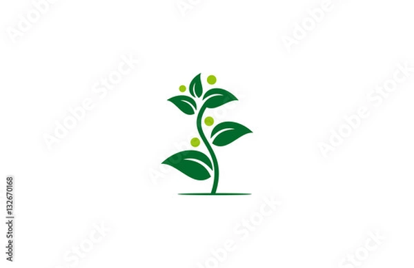 Obraz vector tree plant human logo