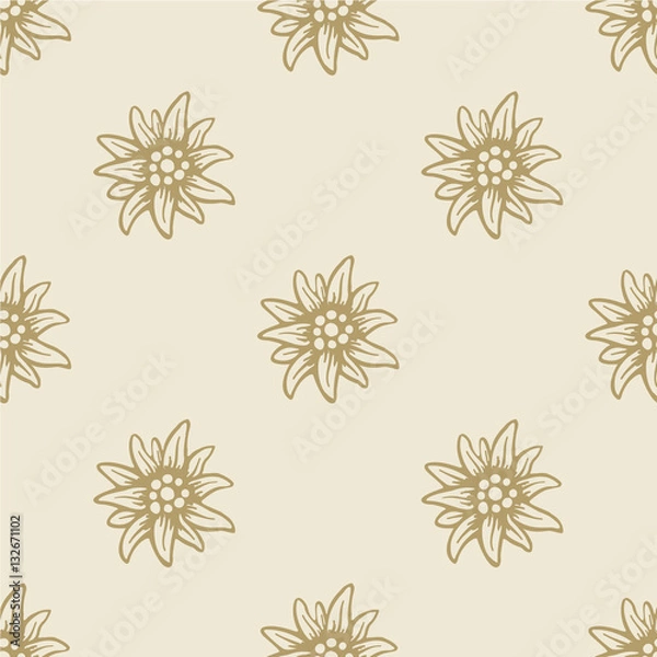 Obraz Edelweiss flower seamless pattern background texture
