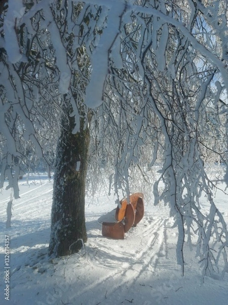 Fototapeta Winterlandschaft Rhön