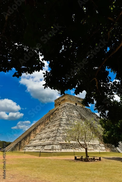 Obraz El Castillo's tree shade
