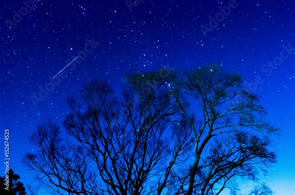 Fototapeta 夜空　オリオン座