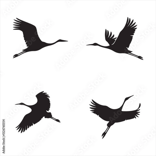 Fototapeta vector silhouette Flying bird 