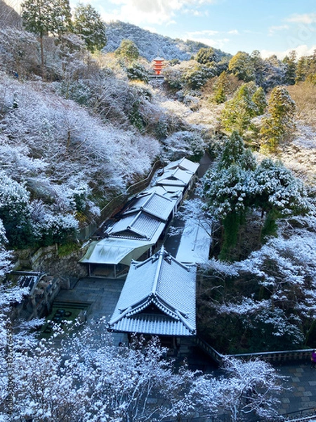Obraz 雪の清水寺の風景