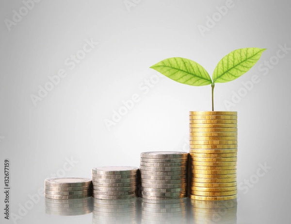 Fototapeta  Coins graph stock market