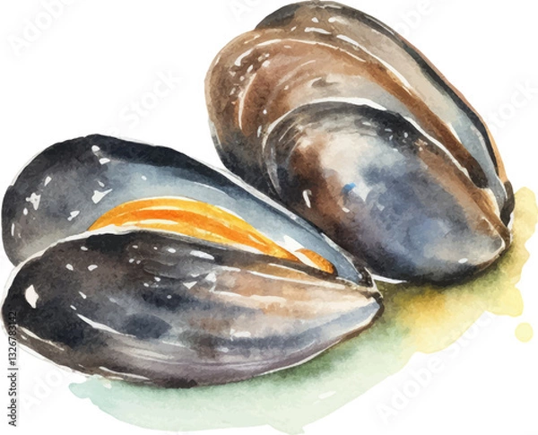 Obraz Watercolor painted mussels. Hand drawn fresh seafood design element isolated on white background.