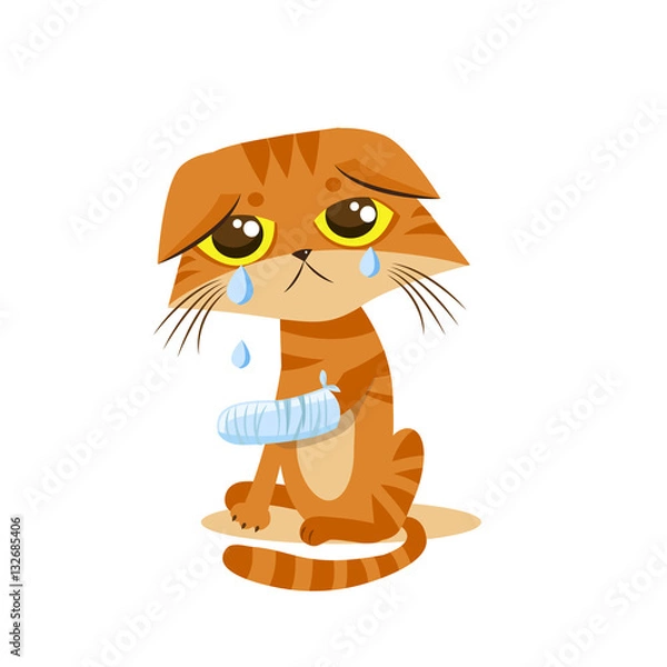 Fototapeta Sad Crying Cat. Cat Tears. Cartoon Vector Illustration. Splinting Leg. Crying Cat Meme. Cat Face. Cat Picture. Crying Cat Emoticon. Cat Wants To Come In. The Poor Cat. Weeping Cat.