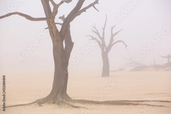 Obraz Sussusvlei Deadvlei - Namibia