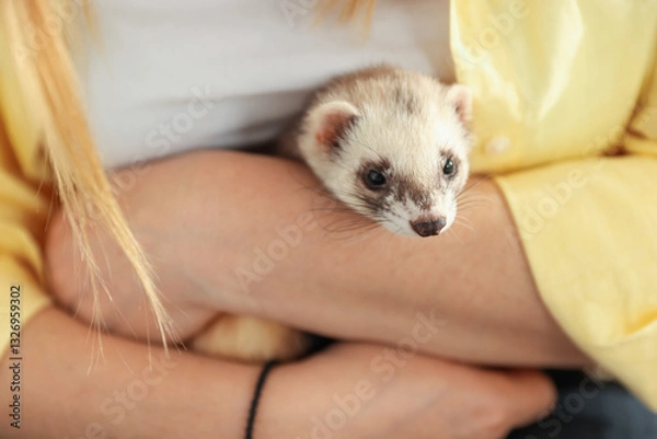 Fototapeta Woman with cute ferret, closeup. Domestic pet