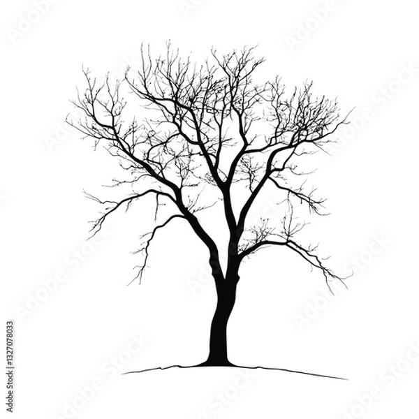Fototapeta A bare tree silhouette against a bright vector isolated