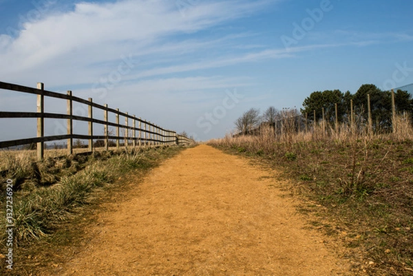 Fototapeta path to the field