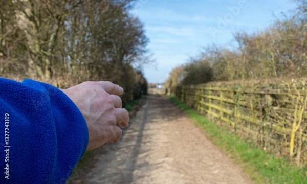 Fototapeta hand of a seignior showing direction on a road in the countryside