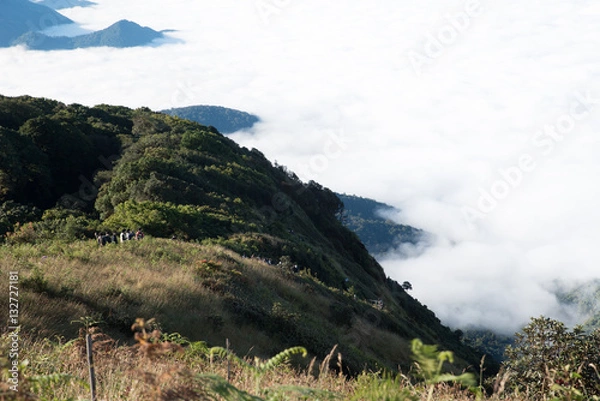 Obraz Mountain and mist