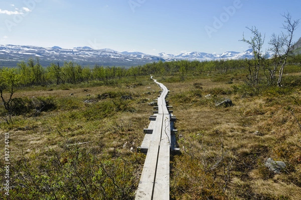 Obraz Lapland landscape and hiking path