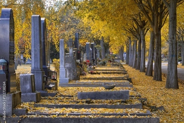 Obraz Gräber im Herbst