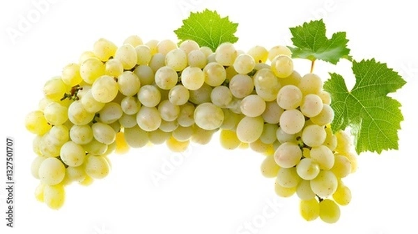 Obraz Isolated grapes