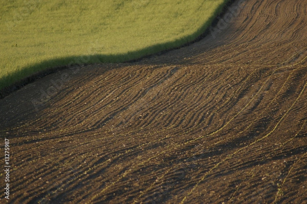 Obraz Feldimpression rechts