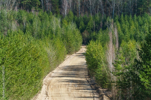 Fototapeta An empty dirt road running through the forest. Autumn countryside at sunset.