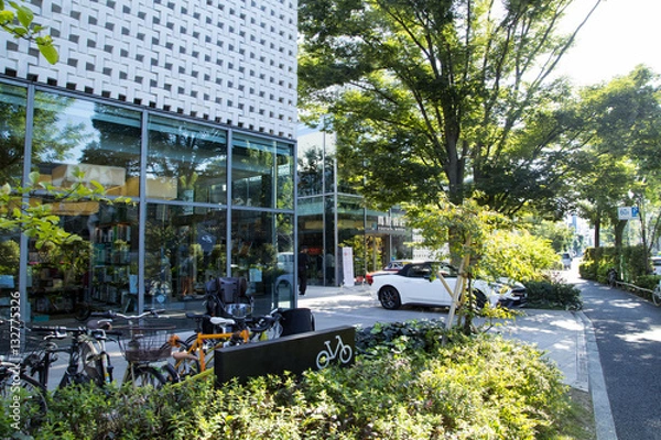 Obraz 代官山の風景　旧山手通り